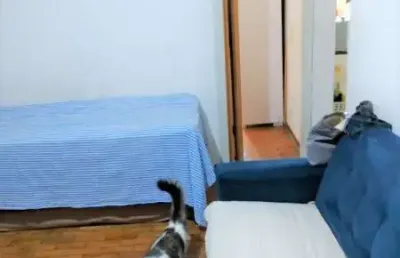 Apartamento com 1 quarto à venda na Das Palmeiras - Frente, 114, Vila Buarque, São Paulo