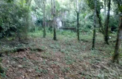 Terreno à venda em Ubatumirim, Ubatuba 