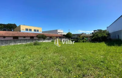 Terreno comercial à venda na Rua Barão do Cerro Azul, 686, Centro, Piraquara