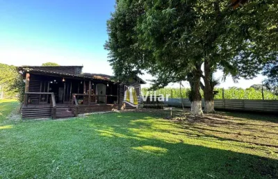 Chácara com 3 dormitórios à venda, 1200 m² por r$ 580.000,00 - vila são cristóvão - piraquara/pr