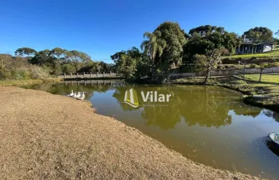 Chácara com 5 dormitórios à venda, 21000 m² por r$ 1.500.000,00 - planta meireles - piraquara/pr