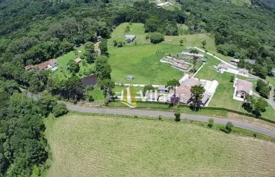 Chácara com 4 dormitórios à venda, 72600 m² por r$ 3.499.900,00 - palmitalzinho - quatro barras/pr