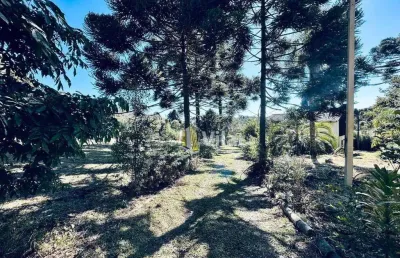 Chácara com 3 dormitórios à venda, 22450 m² por r$ 1.250.000 - planta meireles - piraquara/pr