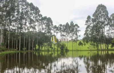 Oportunidade- excelente área com 39.051 m2 na melhor localização de piraquara, por r$5.600.000.