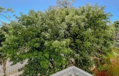 Apartamento com 3 quartos à venda na Rua Marechal Mesquita, Teresópolis, Porto Alegre