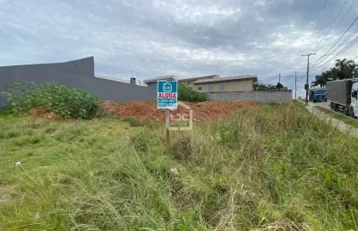 Terreno frente a risotolandia, thomaz coelho, araucaria - pr
