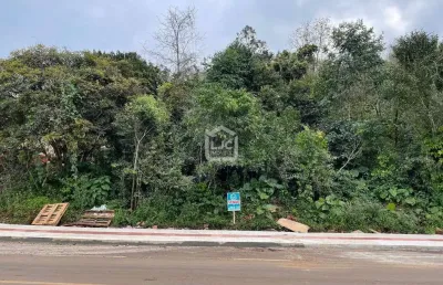 Área em bal.pratas/são carlos - sc, balneário de pratas, sao carlos - sc