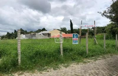 Terreno comercial para alugar na Rua Miguel Bertolino Pizatto, 419, Centro, Araucária