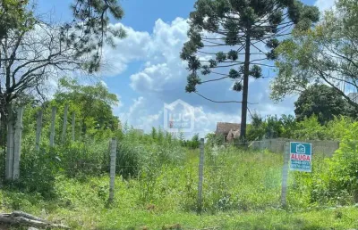 Terreno comercial para alugar na Rua Francisco Xavier da Silva, 415, Centro, Araucária