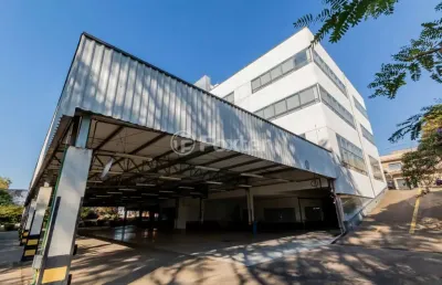 Barracão / galpão / depósito à venda na rua verena, 197, vila santana, são paulo, 3732 m2 por r$ 18.553.180
