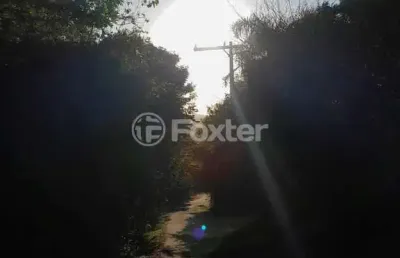 Terreno à venda na estrada costa do cerro, 1700, lageado, porto alegre, 14000 m2 por r$ 288.800