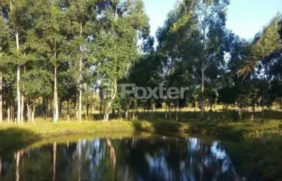 Terreno comercial à venda na estrada do quilombo, 1641, feitoria, são leopoldo, 60000 m2 por r$ 2.660.000