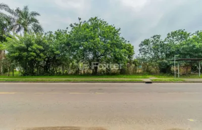 Terreno comercial à venda na estrada jorge pereira nunes, 373, campo novo, porto alegre, 3037 m2 por r$ 1.579.000