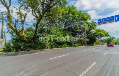 Terreno à venda na avenida pinheiro borda, 267, cristal, porto alegre, 484 m2 por r$ 1.500.000
