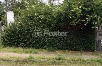 Terreno comercial à venda na rua barão de bagé, 490, vila jardim, porto alegre, 264 m2 por r$ 250.000