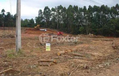 Terreno comercial à venda na rodovia br-386, 02, centro, nova santa rita, 2000 m2 por r$ 1.080.000