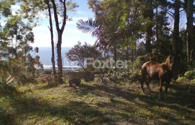 Terreno comercial à venda na estrada paulo lopes, 500, centro, paulo lopes, 33000 m2 por r$ 1.800.000
