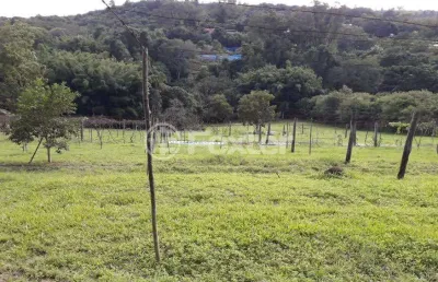 Terreno comercial à venda na avenida belém velho, 3580, vila nova, porto alegre, 6396 m2 por r$ 1.300.000