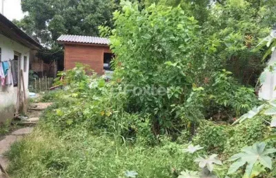 Terreno comercial à venda na rua alberto silva, 719, vila ipiranga, porto alegre, 550 m2 por r$ 490.000
