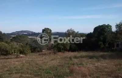 Terreno à venda na estrada das três meninas, 1134, vila nova, porto alegre, 5000 m2 por r$ 1.800.000