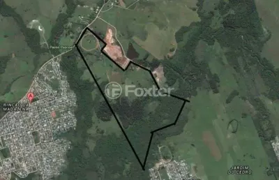 Terreno comercial à venda na rua lino estácio dos santos, 3000, rincão da madalena, gravataí, 210000 m2 por r$ 17.000.000