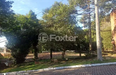 Terreno à venda na rua hipólito da costa, 442, santa tereza, porto alegre, 4880 m2 por r$ 4.000.000