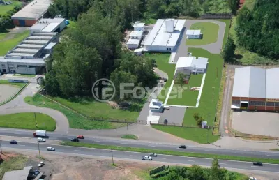 Barracão / galpão / depósito à venda na avenida parobé, 5675, boa vista, são leopoldo, 1450 m2 por r$ 21.850.000