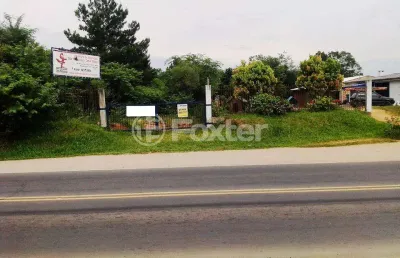 Terreno comercial à venda na avenida delegado ely corrêa prado, 1340, mário quintana, porto alegre, 25500 m2 por r$ 3.200.000