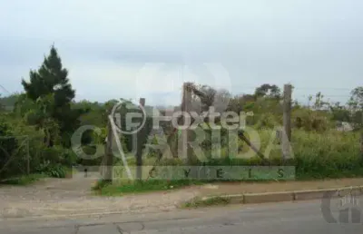 Terreno à venda na estrada joão de oliveira remião, 6050, lomba do pinheiro, porto alegre, 5550 m2 por r$ 3.000.000