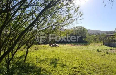 Terreno à venda na rua oito mil e quatorze, 4100, lageado, porto alegre, 1320 m2 por r$ 151.905