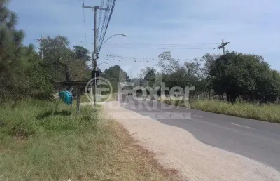 Terreno à venda na avenida do lami, 6979, lami, porto alegre, 902 m2 por r$ 160.000