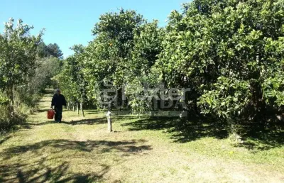 Terreno à venda na estrada afonso lourenço mariante, 2892, belém velho, porto alegre, 13935 m2 por r$ 448.200