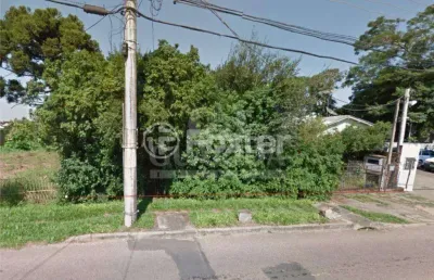 Terreno à venda na estrada joão vedana, 346, cavalhada, porto alegre, 1500 m2 por r$ 1.200.000