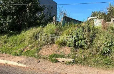 Terreno comercial à venda na avenida manoel elias, 1096, jardim leopoldina, porto alegre, 350 m2 por r$ 522.000