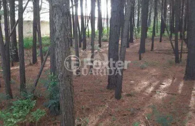 Terreno à venda na estrada josé zingano, 721, distrito industrial, cachoeirinha, 5330 m2 por r$ 1.187.595