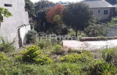 Terreno à venda na rua matias josé bins, 1208, chácara das pedras, porto alegre, 385 m2 por r$ 700.000