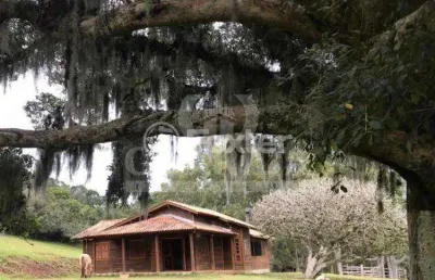 Fazenda com 1 sala à venda na rodovia frei pacífico, s/n, itapuã, viamão, 45000 m2 por r$ 600.000