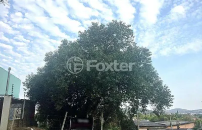 Terreno comercial à venda na rua dea coufal, 903, ipanema, porto alegre, 385 m2 por r$ 300.000