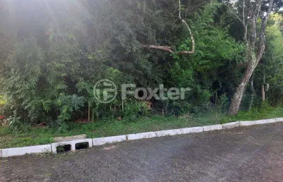 Terreno em condomínio fechado à venda na rua das figueiras, 206, são lucas, viamão, 420 m2 por r$ 140.000