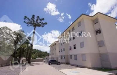 Apartamento com 2 quartos à venda na rua homero pacheco, 909, beco da alegria, canela, 43 m2 por r$ 350.000