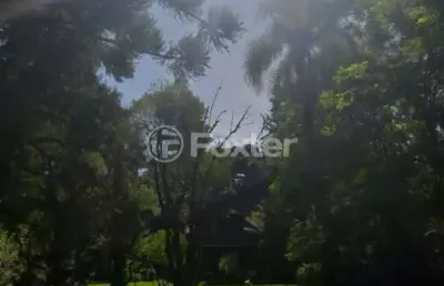 Casa com 7 quartos à venda na rua tenente manoel corrêa, 841, vila luiza, canela, 465 m2 por r$ 4.452.000