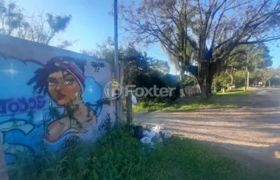 Terreno à venda na avenida belém velho, 2310, vila nova, porto alegre, 7745 m2 por r$ 2.850.000