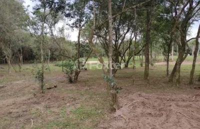 Terreno comercial à venda na beco da vitória, 1757, boa vista do sul, porto alegre, 13724 m2 por r$ 852.000