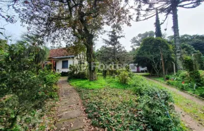 Casa com 3 quartos à venda na travessa pedra redonda, 474, jardim isabel, porto alegre, 300 m2 por r$ 2.400.000