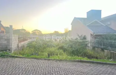 Terreno em condomínio fechado à venda na estrada aracaju, 530, vila nova, porto alegre, 300 m2 por r$ 230.000