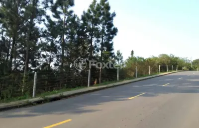 Terreno à venda na estrada das furnas, 788, vila nova, porto alegre, 31066 m2 por r$ 3.521.000