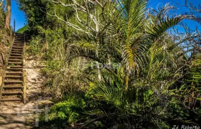 Casa com 3 quartos à venda na rua do pingüim, 164, campeche, florianópolis, 148 m2 por r$ 3.200.000