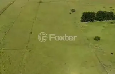 Terreno comercial à venda na avenida quatro de maio, s/n, três figueiras, glorinha, 150000 m2 por r$ 3.000.000