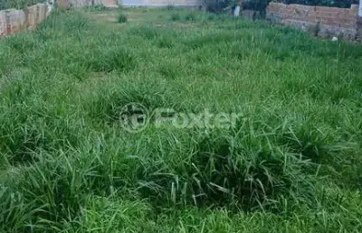 Terreno à venda na rua itapema, 98, vila jardim, porto alegre, 396 m2 por r$ 285.000