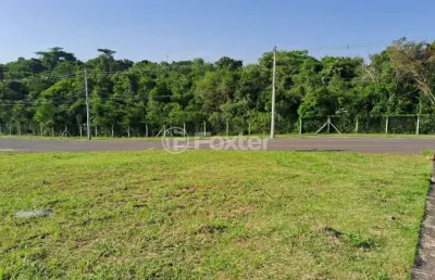 Terreno à venda na rua anita luzia braun, 10, loteamento jardim timbaúva, gravataí, 163 m2 por r$ 185.600